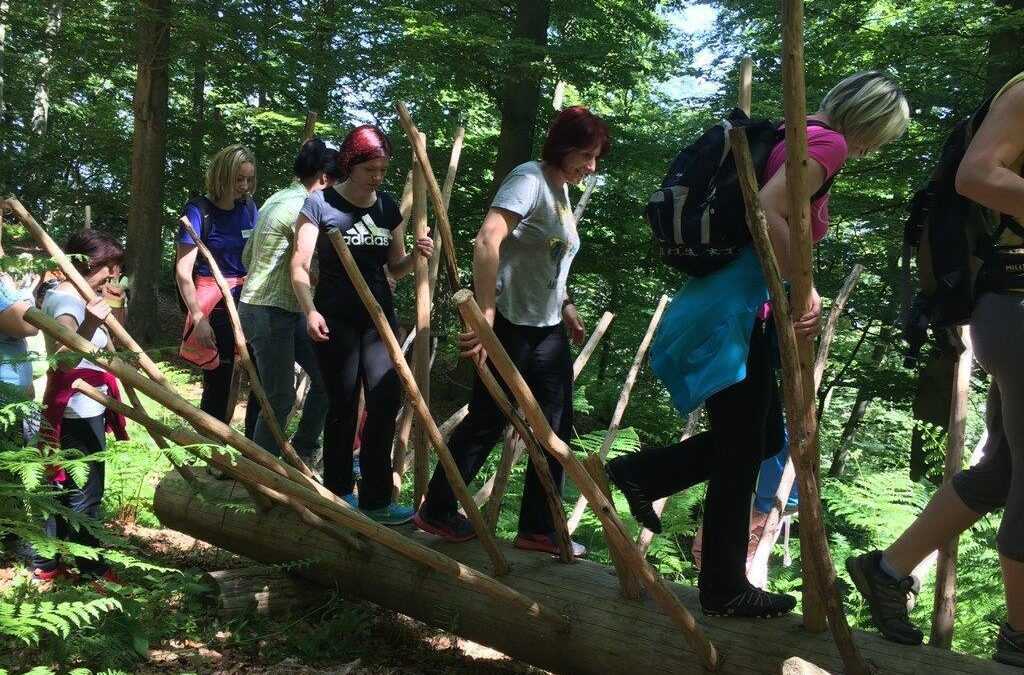 SPREHAJANJE MISLI: BOGASTVO TEMATSKIH POTI V SLOVENIJI