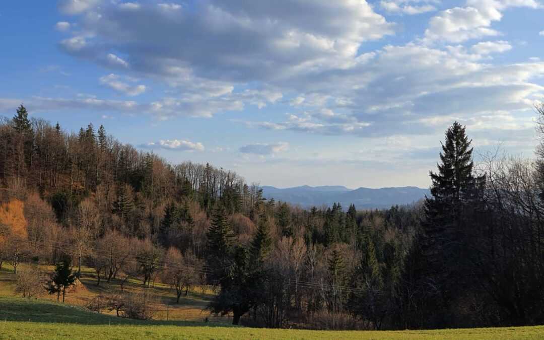 ZELENA MESTNA OAZA – SPREHOD NA ROŽNIK