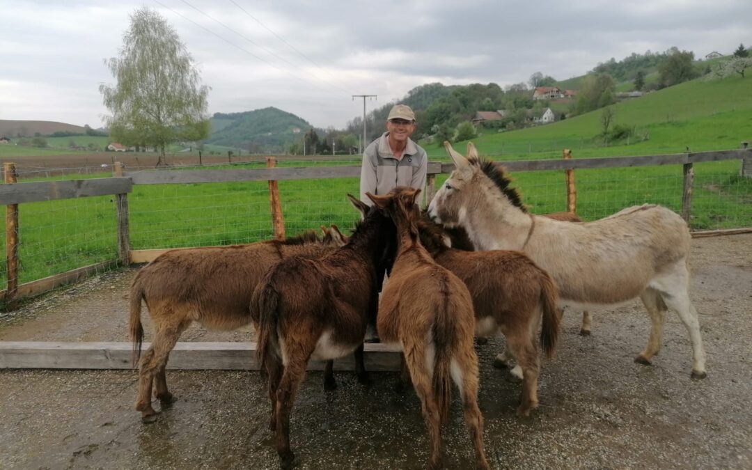 SPREHOD MED OSLIČKI