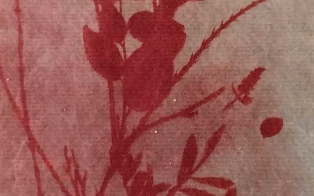 USTVARJALNI DETOX Z ANTOTIPIJO V MESTNEM PARKU